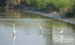대장천, 환경부 생태하천복원사업 우수상 수상