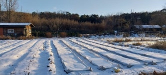 비극은 무관심을 먹고 산다