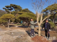 나무처럼 든든한 3대의 이웃사랑