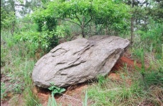 고봉의 고(高)자와 덕양의 양(陽)자를 따서 고양(高陽)이라 하라