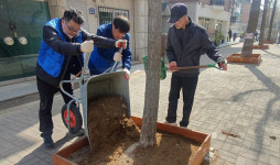정발산동, 관광테마골목 화단 정비해