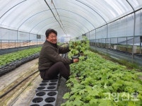 한때는 프로복싱선수, 지금은 박람회용 꽃 재배하는 화훼농부