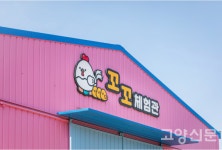 세상의 신기한 닭들 다 모였네