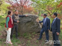 1만5000평 청솔농원에 대왕철쭉꽃 활짝