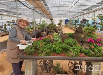 90세 앞두고 철쭉분재 전시 꽃 보며 나이 잊어
