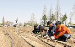 스마트하게 텃밭을 가꾸는 구산동 늘푸른 주말농장 입니다 