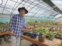 다육식물로 중국인들 마음 사로잡아요