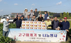 고봉동 주민자치회 나눔위한 고구마 캐기