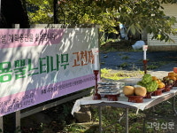 용뿔 느티나무 할아버지, 산황산 품속에서 오래오래 건강하세요