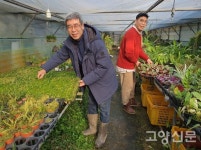 희귀한 관엽식물 키우는 아버지와 아들