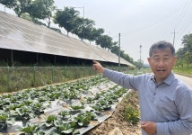 태양광으로만 200여가구 매달 사용전기 생산