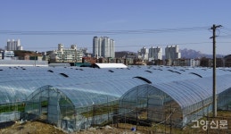 [기획연재-3] 관산동 골목길 건물과 간판… 그 시절 흔적·감성 담긴 숨은그림찾기