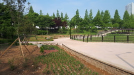 한류수변공원 청음지로 산책 오세요