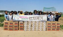 고봉동 주민자치회,  정성 듬뿍 감자 캐기