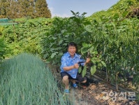 농기계 다닐만큼 튼튼한 교량 생겼으면