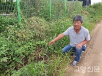 요즘 뜨는 납작복숭아 맛 궁금하죠?