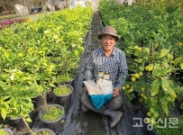 고양에서 레몬 3만주 재배, 12월 수확