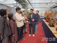 앙증맞은 애기감(노아시)에  관심 집중