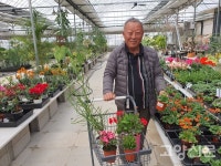 직접 키운 꽃으로 식물마켓 열었어요