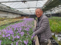 직접 키운 꽃으로 식물마켓 열었어요