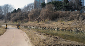 백석동 성당, 도촌천 유해종 제거·환경정화