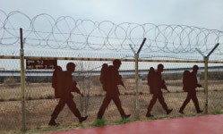 장항습지 주변 따라  DMZ 도보여행 떠나요