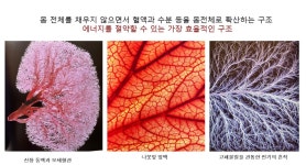 숲에 의지하며 사는 도시 만들기, 제도로 뒷받침돼야 