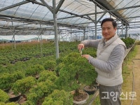 분재 가꾸고 수출하는 데 구슬땀