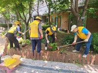 노인회 도래울2단지봉사단 마을 꽃밭 가꿔