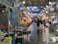 [포토뉴스] 시간당 100㎜ 극한호우, 고양 곳곳 침수