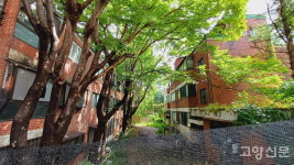 하나둘 떠나간 능곡 골목에 남은, 반세기 평범한 삶의 기억들