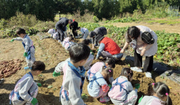 능곡동, 사랑의 고구마로 나눔 실천