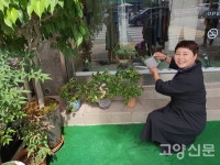 손글씨와 그림 보며 힐링하는 사랑방