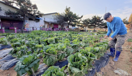 늘푸른주말농장 농사체험이  이어준 느린이웃들