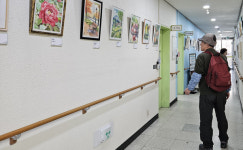 배움이 무대가 되다  일산노인복지관 성과발표회 열려