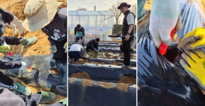 늘푸른주말농장 개장,  놀이·체험·나눔 어우러진 하루