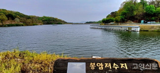 푸르른 느티나무처럼 크게 자란 선각자의 꿈