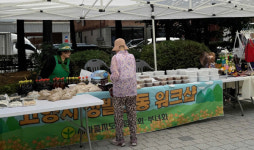 정발산동 주민자치회,  주민과 함께 환경·나눔 축제