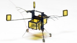 하버드대,물에서 떠다니고 이륙하는 초소형 로봇 개발