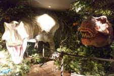 일본에서 유명세 타고 있는 이상한 호텔 투숙해봤더니...