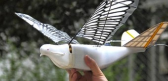 중국 '비둘기' 닮은 스파이 드론 개발한다