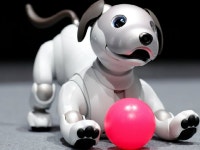 소니 아이보, 누적출하대수 2만대 돌파