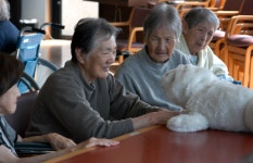 심리치료 로봇 파로, 미국 메디케어 적용 대상에 포함