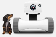 펫 피트니스 로봇 시장 개척에 나선 바램시스템