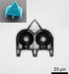 美 코넬대, 초음파로 구동되는 마이크로 로봇 개발