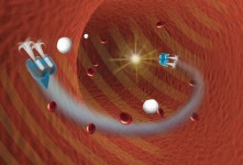 美 코넬대, 초음파로 구동되는 마이크로 로봇 개발