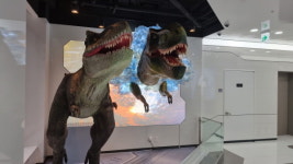 명동 헨나호텔의 국산 로봇, 관광 한국 최전선에!