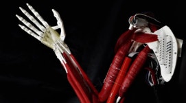 中 생체공학 휴머노이드 기업 위에췐팡성, 200억원 투자 유치