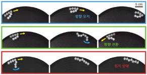 복잡한 제어 없이도 개미처럼 유기적으로 움직이는 입자 군집 개발