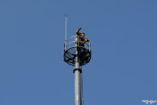 밀리고 몰려 땅을 박찬 노동자, 4명이 하늘에 있다